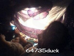 64735duck