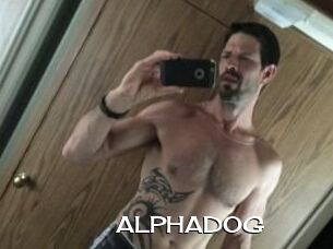 ALPHADOG