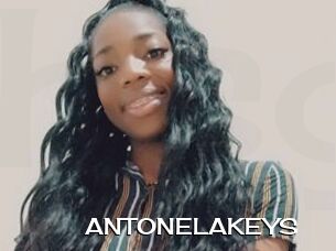 ANTONELAKEYS