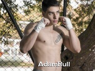 AdamBull