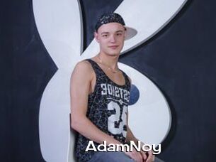 AdamNoy