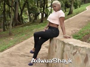 AdwuaShayk
