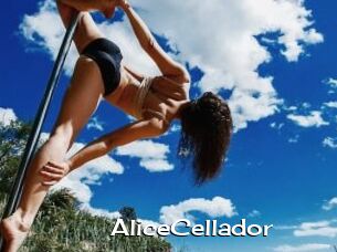 AliceCellador
