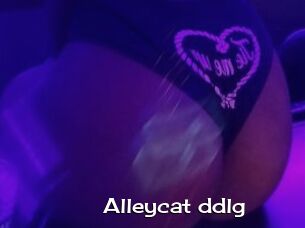Alleycat_ddlg