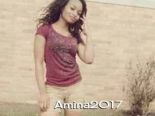 Amina2017