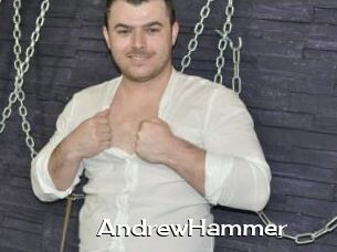 AndrewHammer