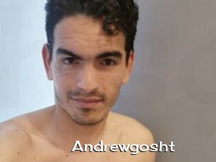 Andrewgosht