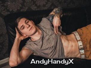 AndyHandyX