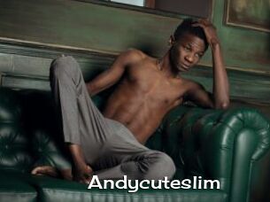 Andycuteslim