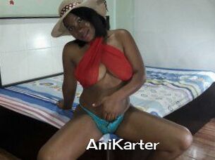 AniKarter