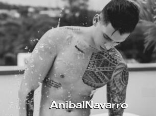 AnibalNavarro