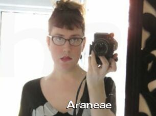 Araneae