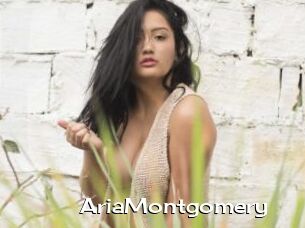 AriaMontgomery