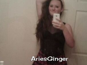 AriesGinger