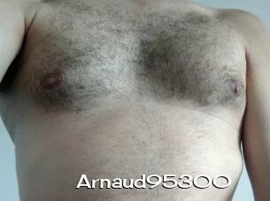 Arnaud95300