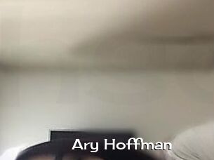 Ary_Hoffman