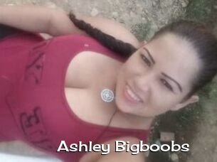 Ashley_Bigboobs