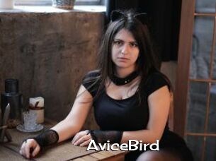AviceBird