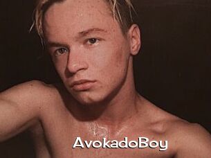 AvokadoBoy