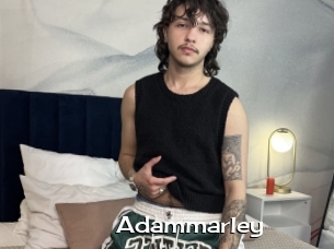 Adammarley