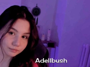 Adellbush