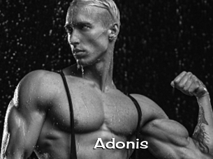 Adonis_