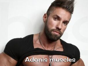 Adonis_muscles