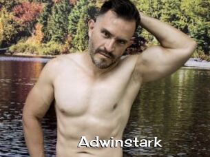Adwinstark