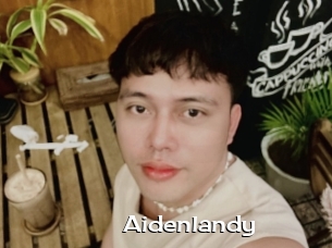 Aidenlandy