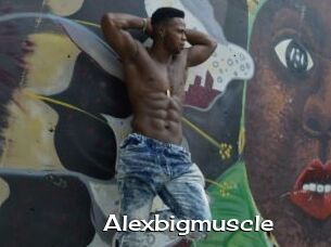 Alexbigmuscle