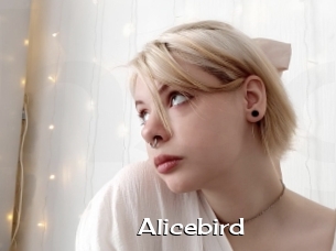 Alicebird