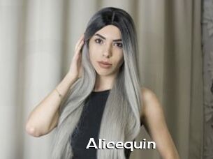 Alicequin