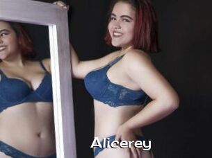 Alicerey