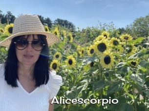 Alicescorpio