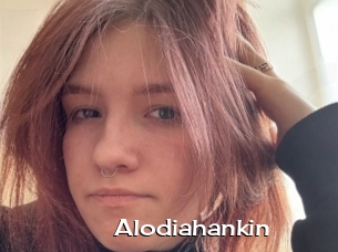 Alodiahankin