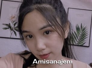 Amisanajem