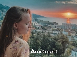 Amismett
