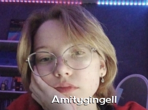 Amitygingell