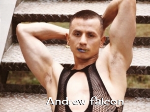 Andrew_falcon