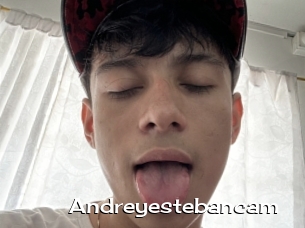 Andreyestebancam