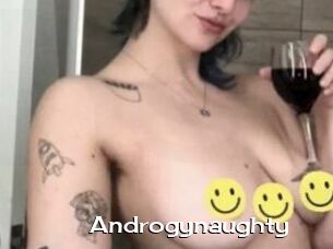 Androgynaughty