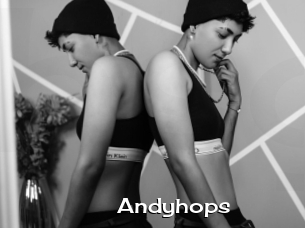 Andyhops