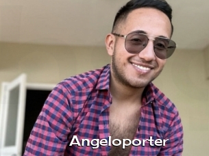 Angeloporter