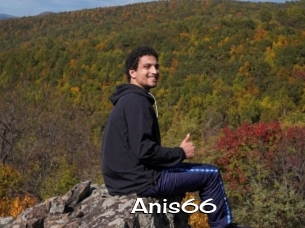 Anis66