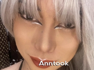 Anntook