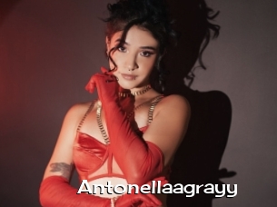 Antonellaagrayy