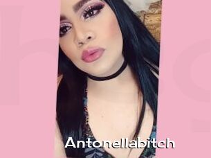 Antonellabitch