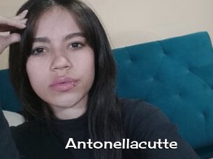 Antonellacutte