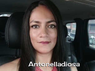 Antonelladiosa