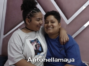 Antonellamaya